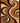 1308 BROWN - 8x10