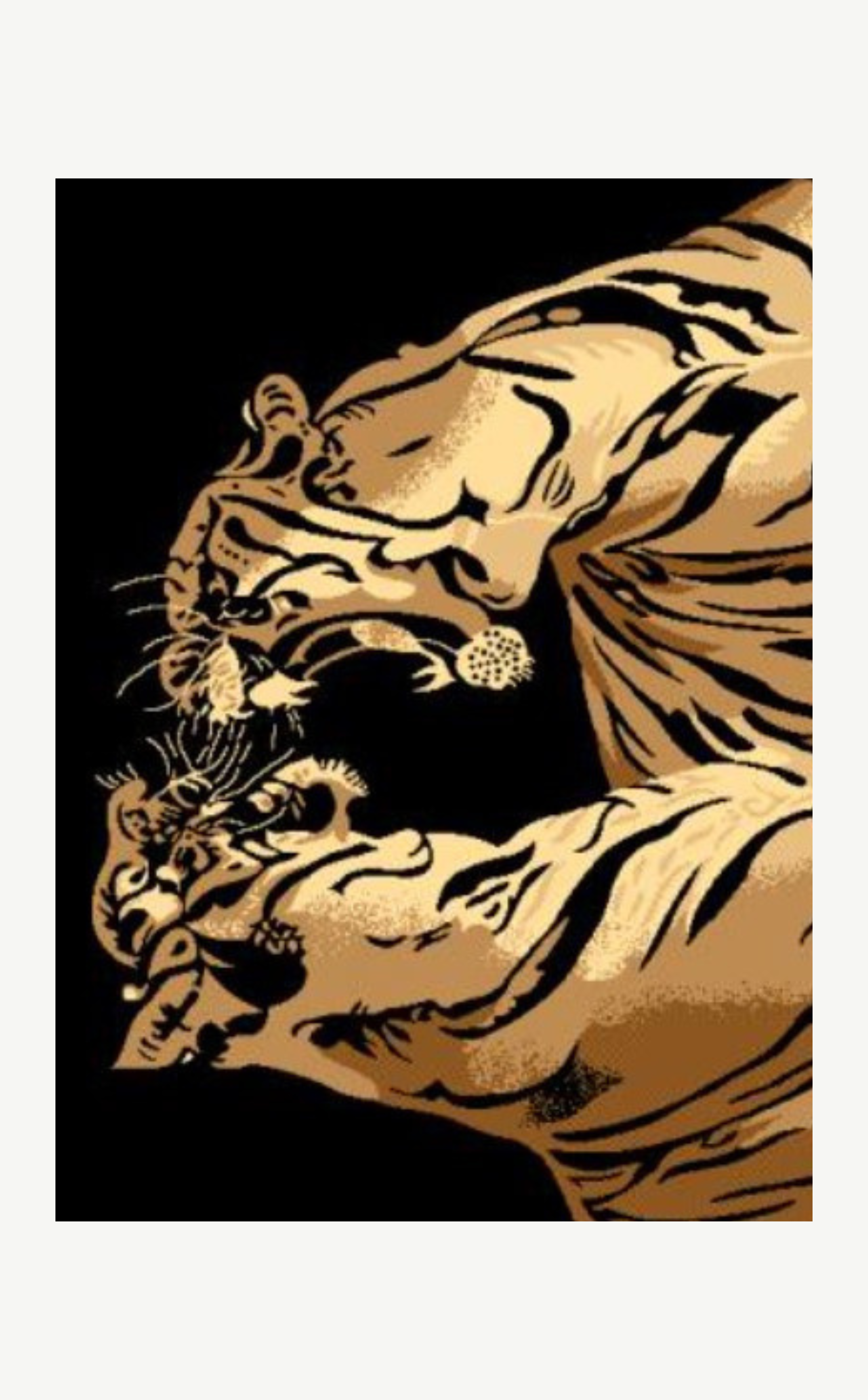 DOUBLE TIGER - 5x7 – United Rugs