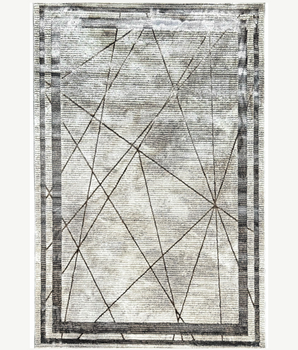 Z201A VIZON - 8x10