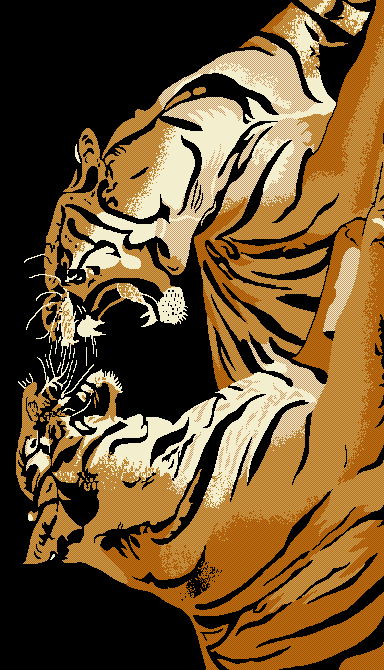 Double Tiger 5x8